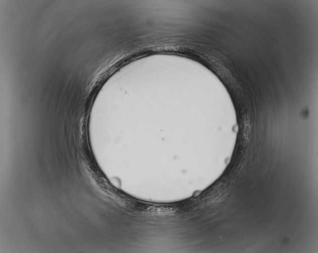 X0000115260491200912111143