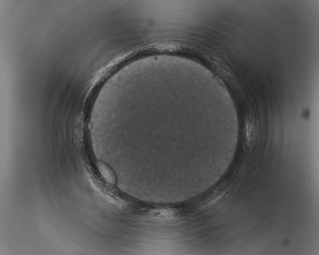 X0000115260492200912111143