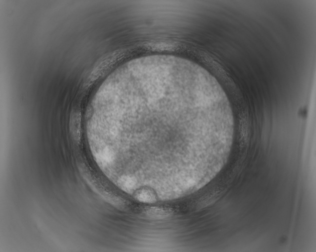 X0000115260494200912111143