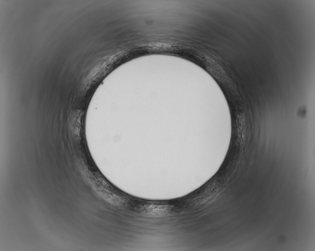 X0000115260495200912111143