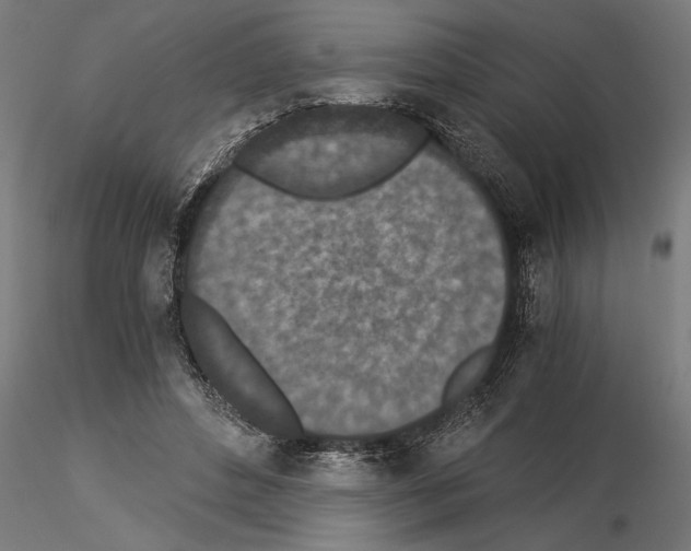 X0000115260496200912111143