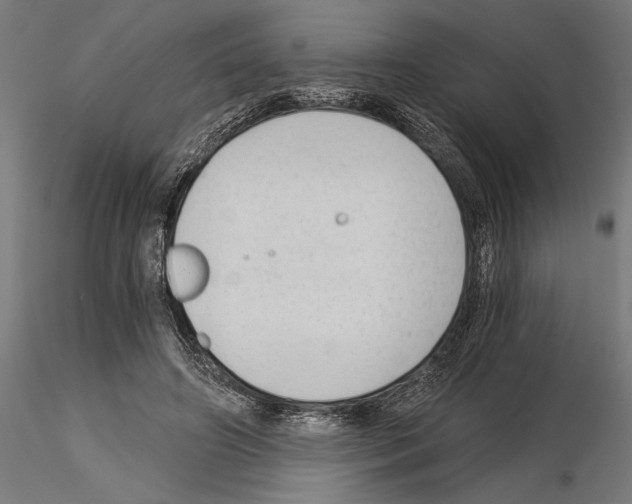 X0000115260498200912111143