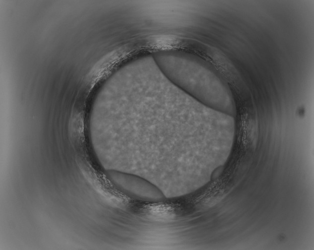 X0000115260500200912111143