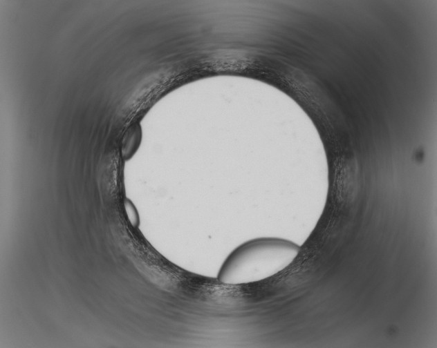 X0000115260501200912111143