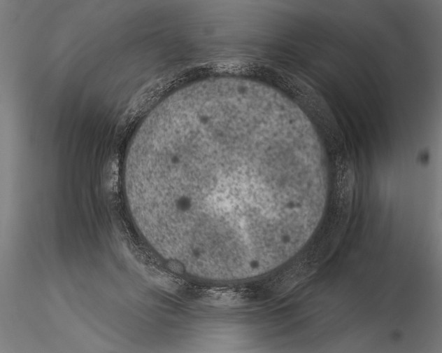 X0000115260502200912111143