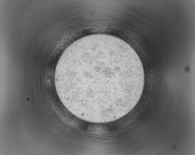 X0000115260503200912111143