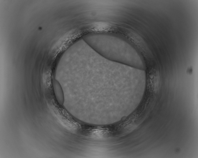 X0000115260504200912111143