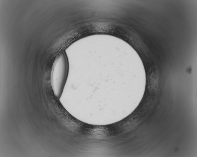 X0000115260505200912111143