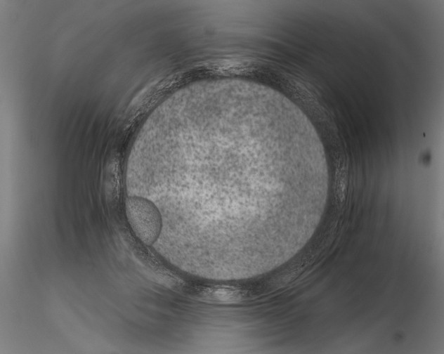 X0000115260506200912111143