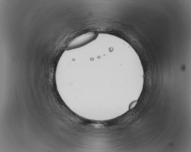 X0000115260509200912111143