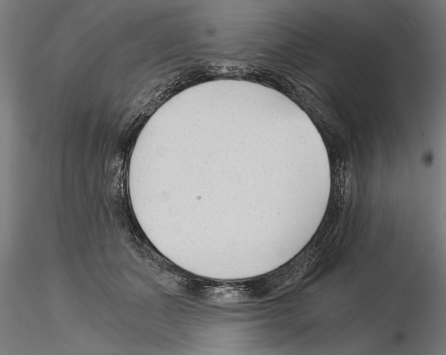 X0000115260511200912111143