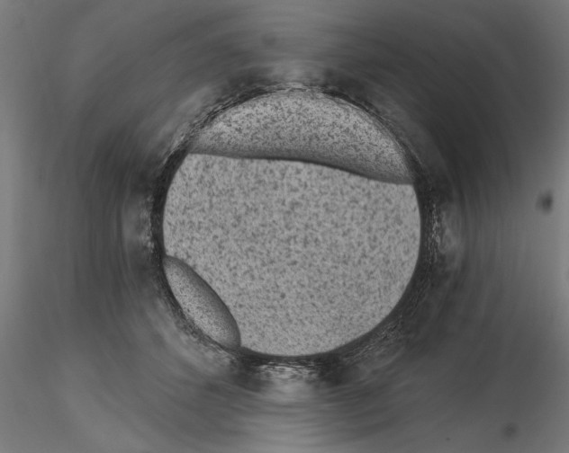 X0000115260512200912111143