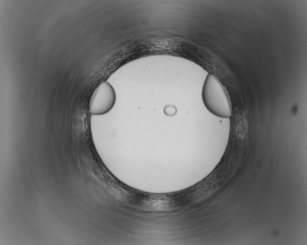 X0000115260514200912111143