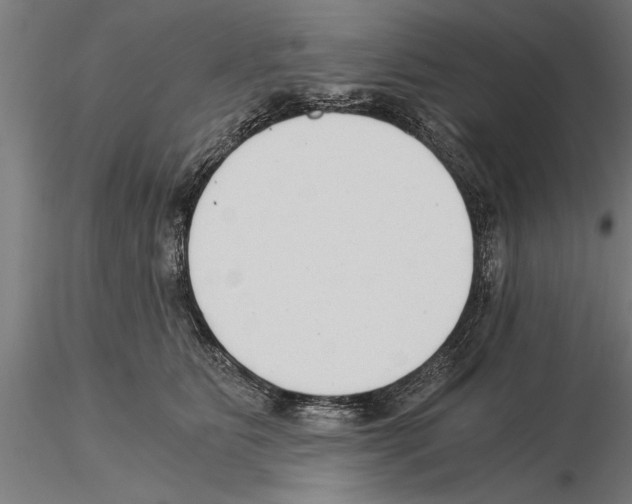 X0000115260515200912111143