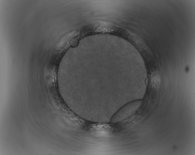 X0000115260517200912111143