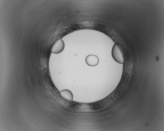 X0000115260518200912111143