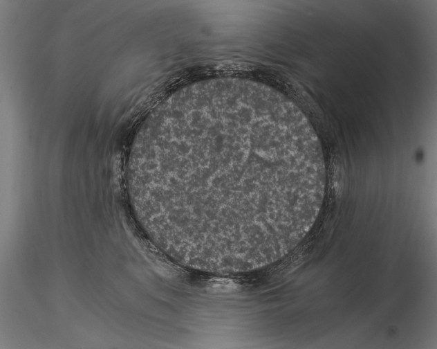 X0000115260519200912111143