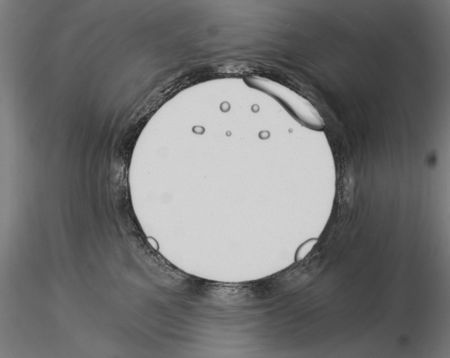 X0000115260521200912111143