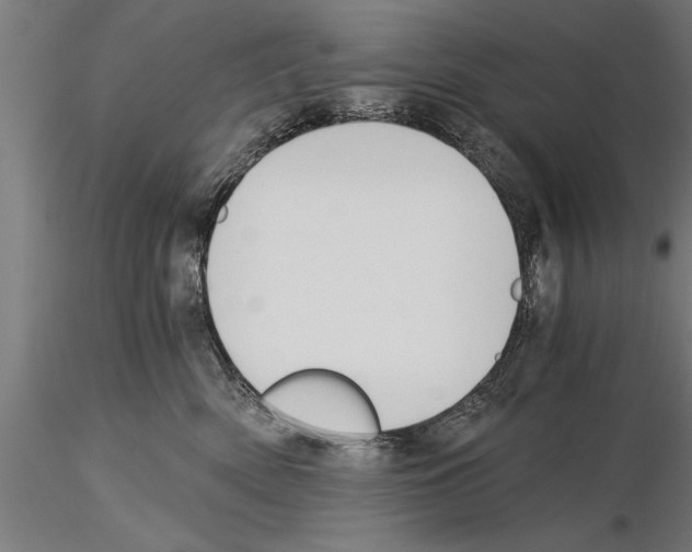 X0000115260522200912111143