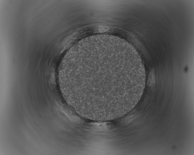 X0000115260524200912111143