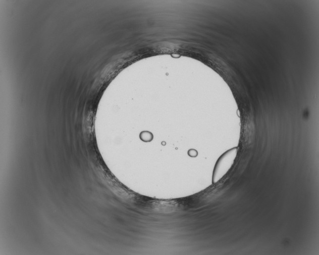 X0000115260525200912111143