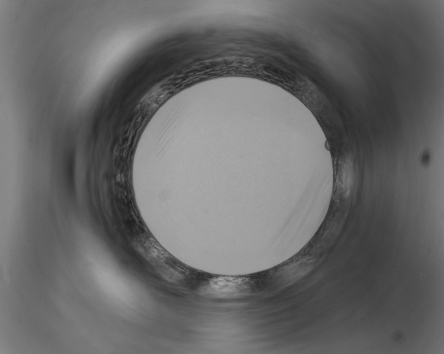 X0000115260526200912111143