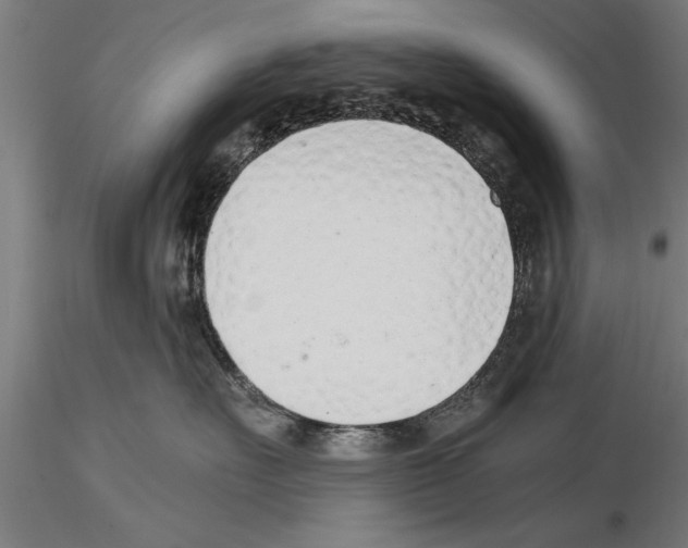 X0000115260527200912111143