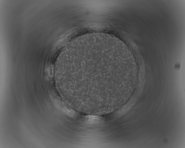 X0000115260528200912111143