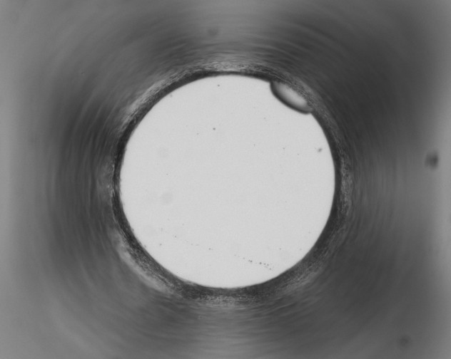 X0000115260530200912111142