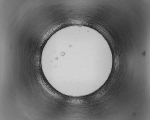 X0000115260533200912111142