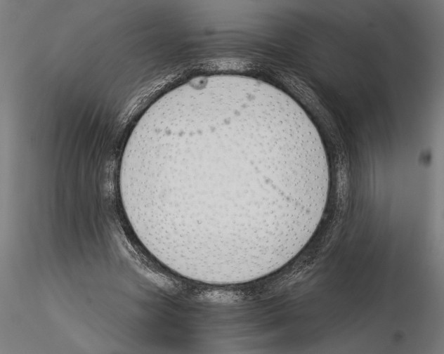 X0000115260537200912111142