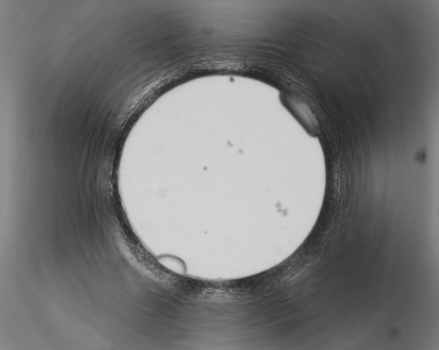 X0000115260538200912111142