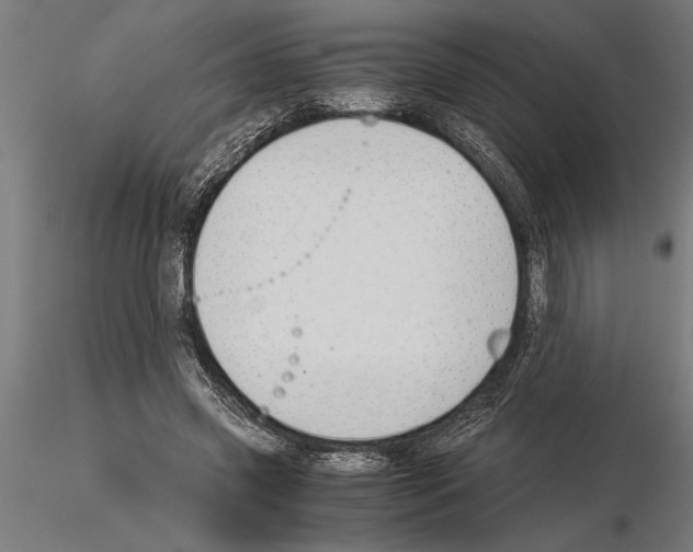 X0000115260541200912111142