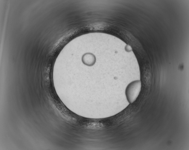 X0000115260543200912111142