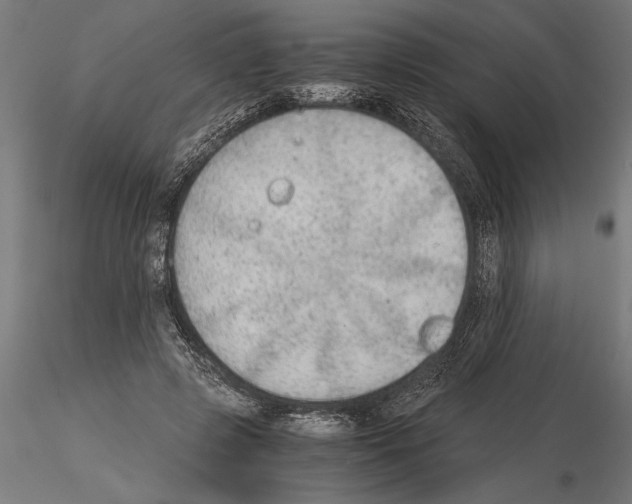 X0000115260545200912111142