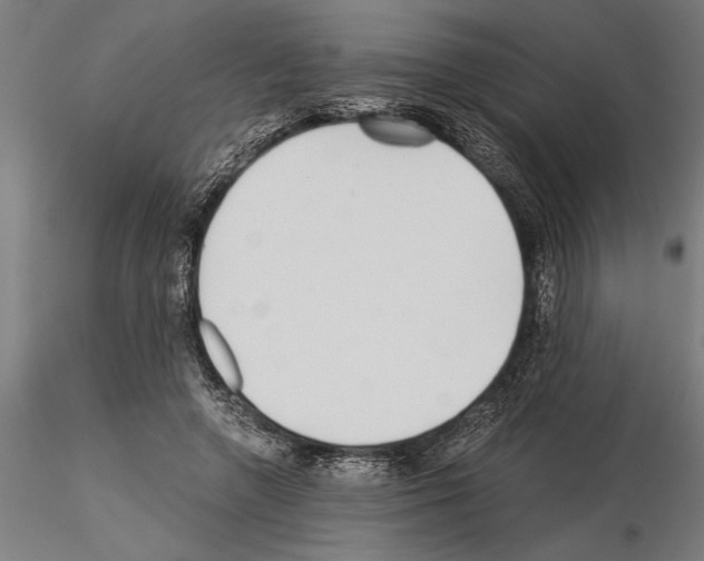 X0000115260546200912111142