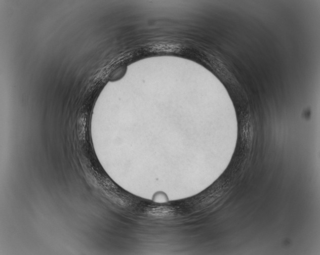 X0000115260551200912111142