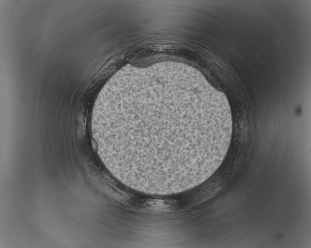 X0000115260558200912111143