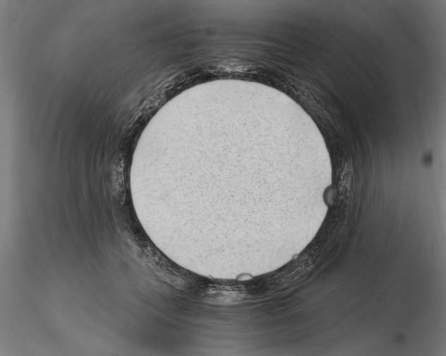 X0000115260559200912111143