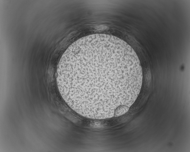 X0000115260565200912111143