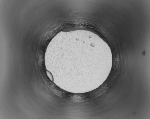 X0000115260566200912111143