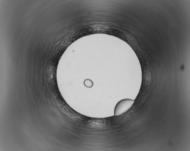 X0000115260567200912111143