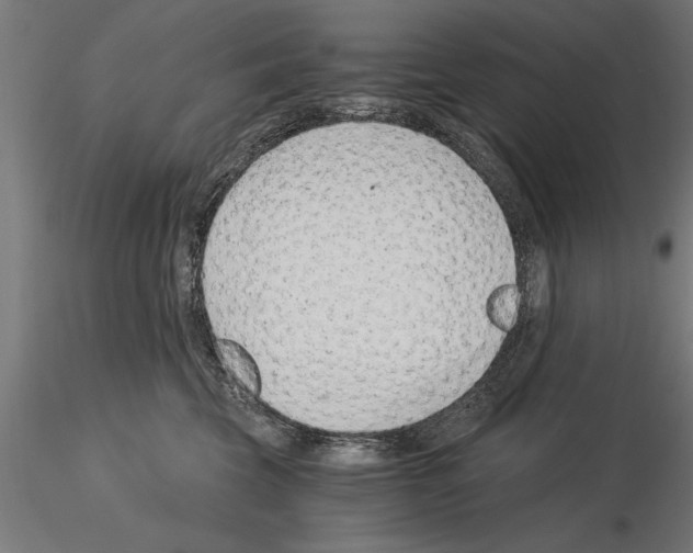 X0000115260569200912111143