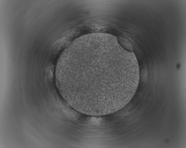 X0000115260570200912111143