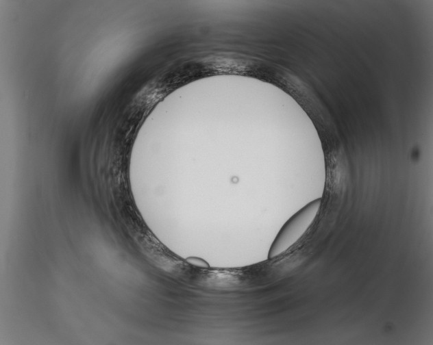 X0000115260573200912111143