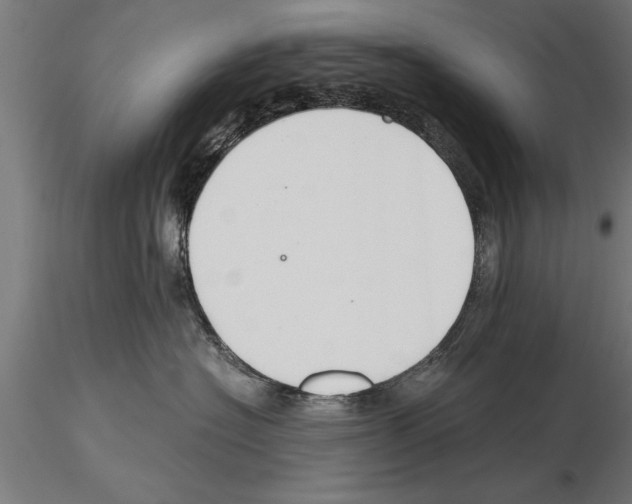 X0000115260574200912111143