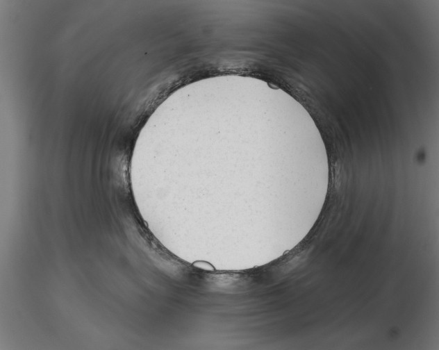 X0000115260575200912111143