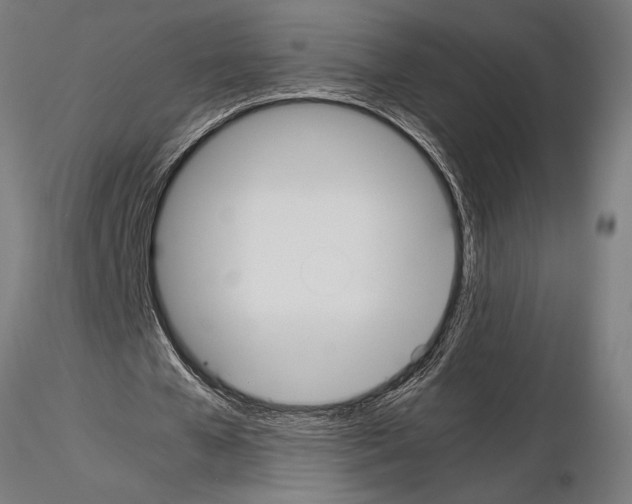 X0000115260577200912111142