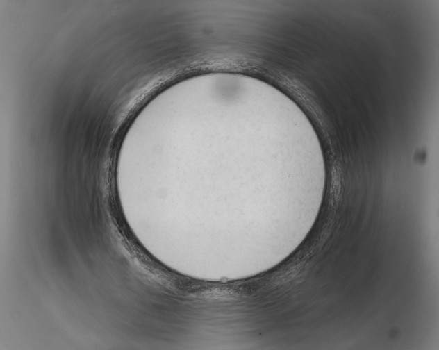 X0000115260578200912111142