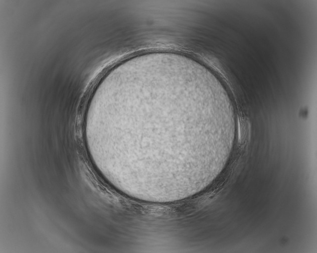 X0000115260579200912111142